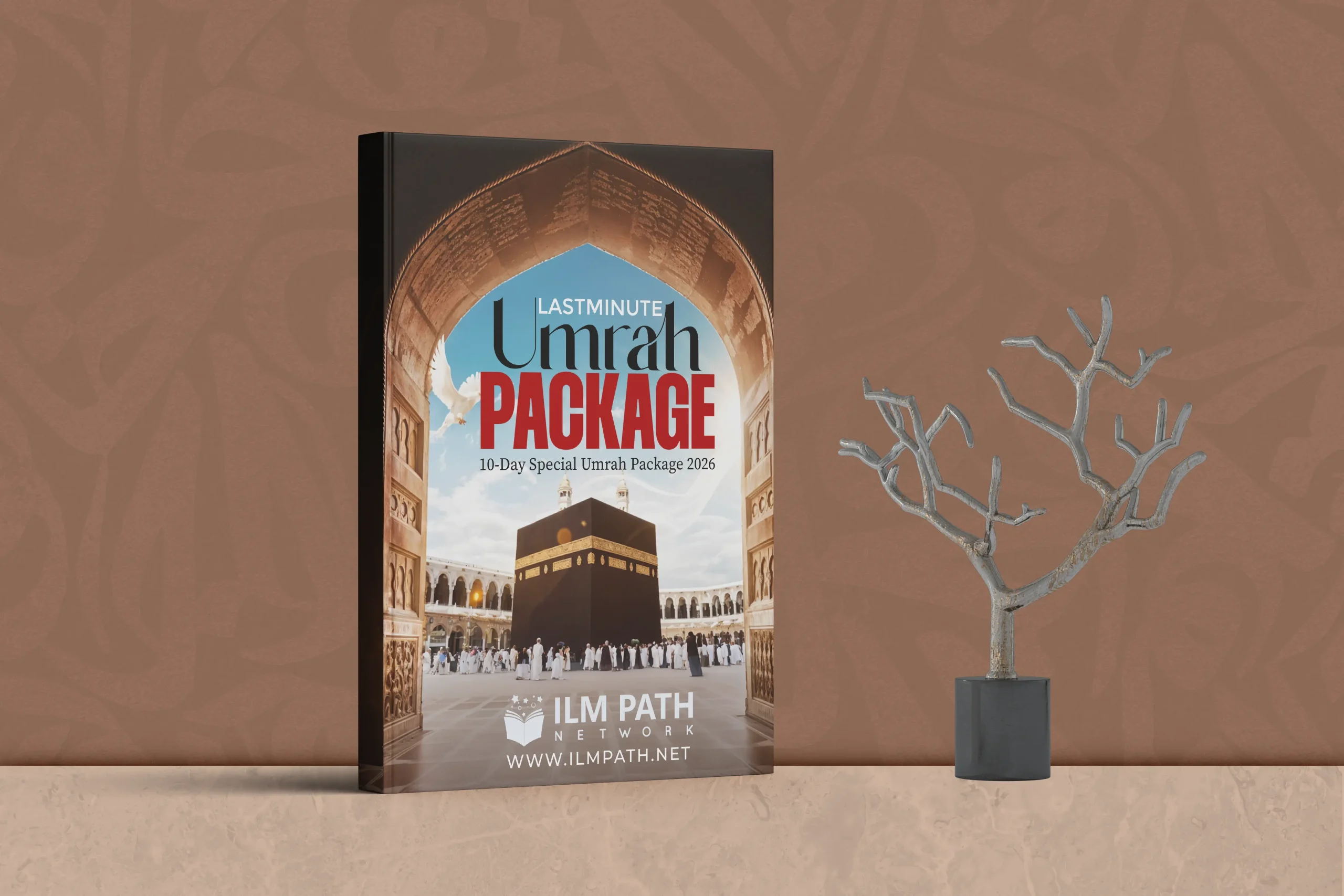 PACKAGE DETAILS